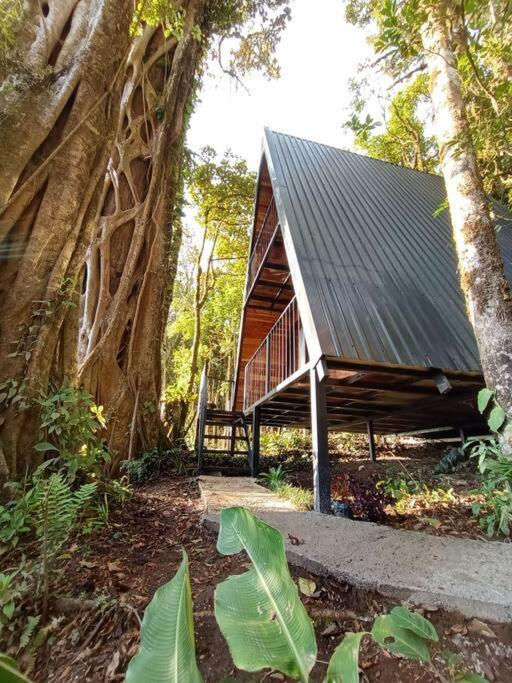 Casa Del Arbol Villa Monteverde Eksteriør billede