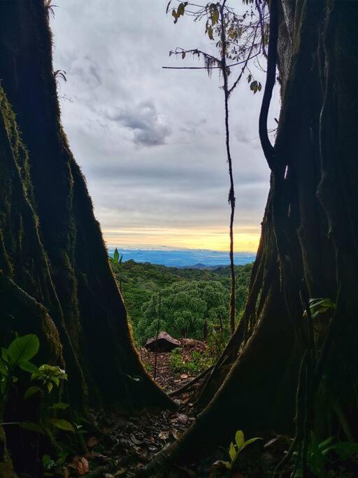 Casa Del Arbol Villa Monteverde Eksteriør billede