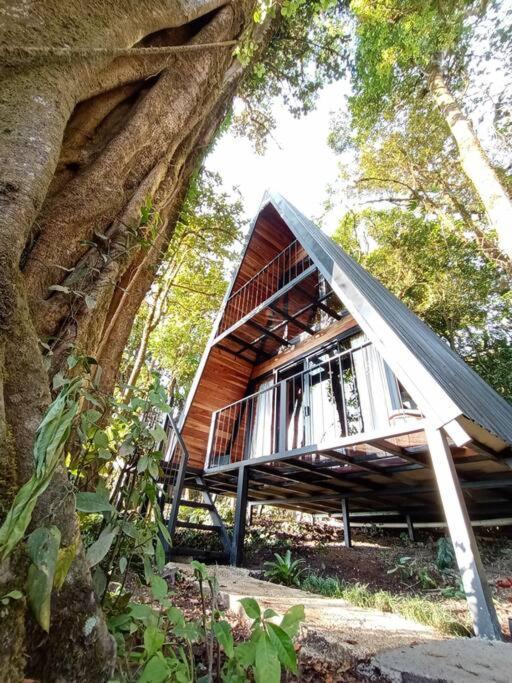 Casa Del Arbol Villa Monteverde Eksteriør billede